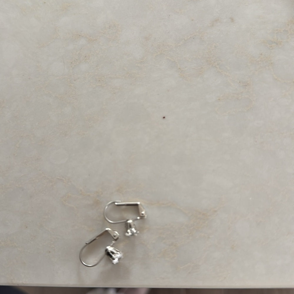 NWOT Solitaire Leverback Earrings | Silver Tone with Clear Crystal